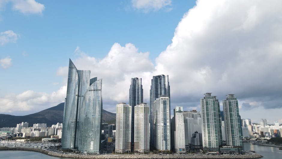 부산 대학교 순위