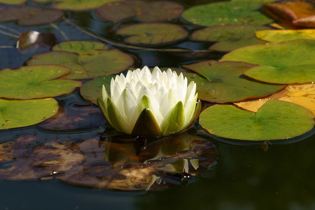 유튜브 바탕화면