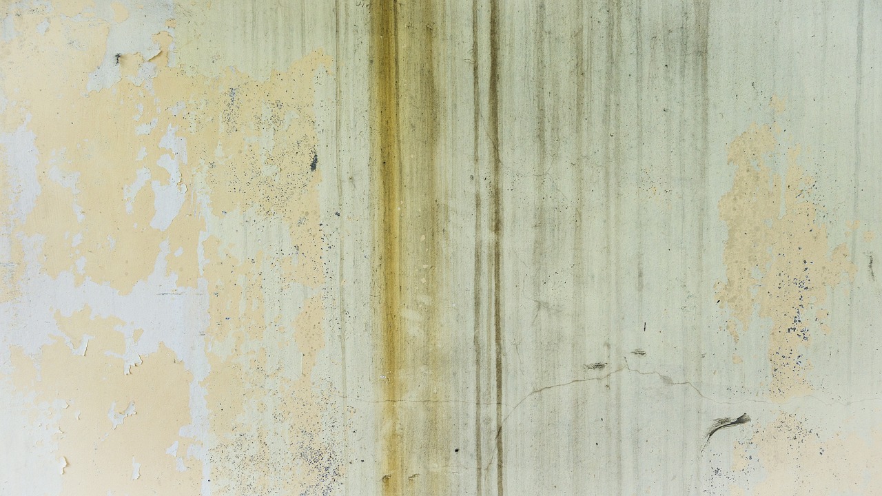 한글 워터마크