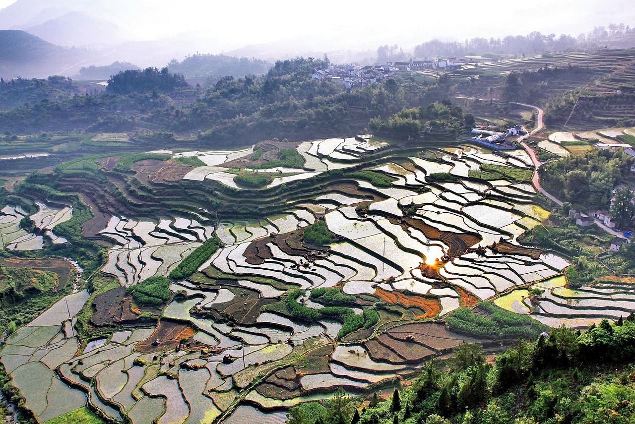 산재 신청